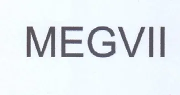 MEGVII