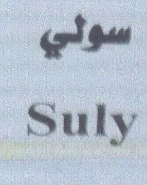 Suly سولي
