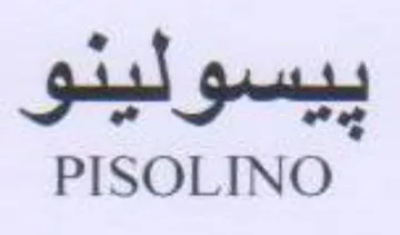 PISOLINO
