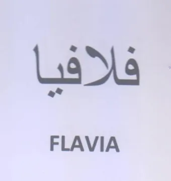 FLAVIA