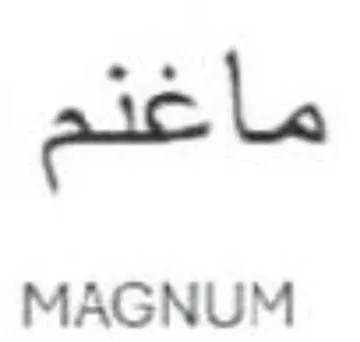 aic le MAGNUM