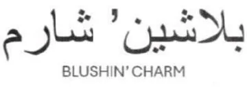 BLUSHIN بلاشين