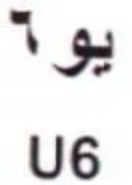 U6