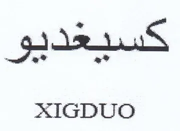 AXIGDUO