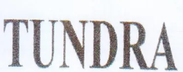 TUNDRA trademark logo