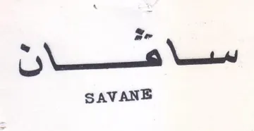 SAVANE نان