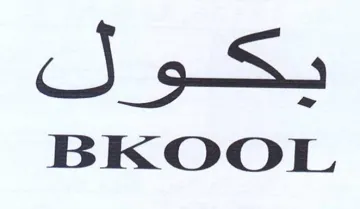 SJ 9S BRKOOL