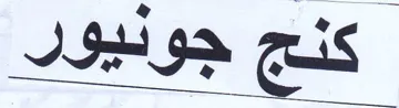 (figurative mark)