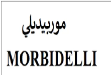 MORBIDELLI موربيديلي