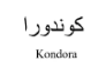 كوندورا كسك وق