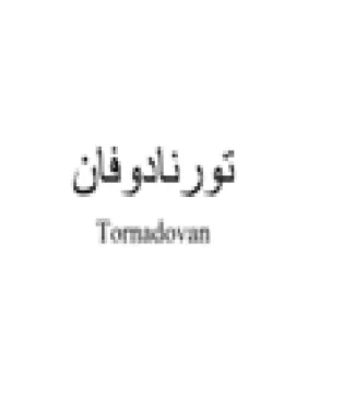 تورنادوفان مايوه