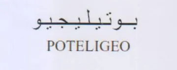 POTELIGEO