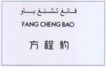 jogs FANG CHENG BAO