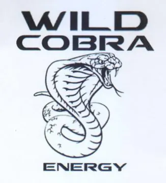 ILD COBRA 2