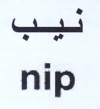 nip