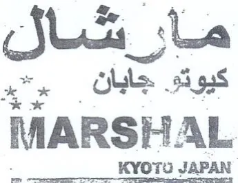 TT CKYOTO JAPAN كيوتى جابان