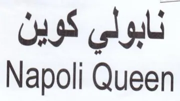 Napoli Queen نابولي كوين