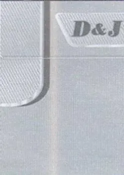 DsJ
