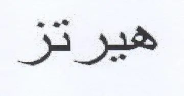 هيرتز trademark logo