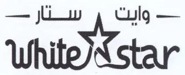 (figurative mark)