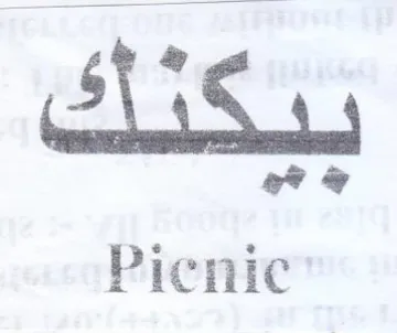 Picnic نتكتك