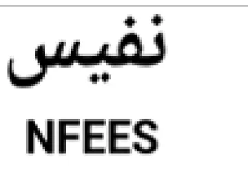 NFEES لقيس