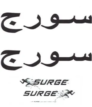 SURGE سورج سورج
