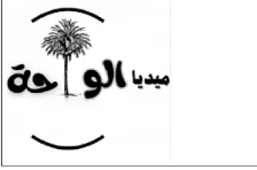 aly ميديا