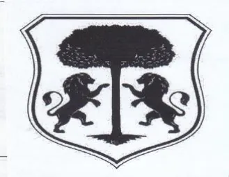 (figurative mark)