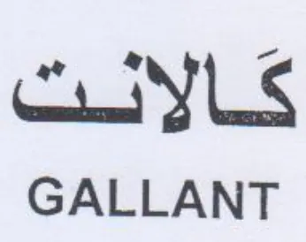 CuYLS GALLANT