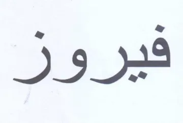 شيل