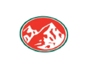 (figurative mark)