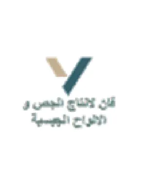 V jue ge الالواح الجيسية