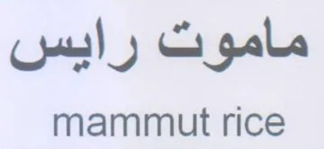 mammut rice ماموت رايس