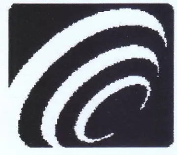 (figurative mark)