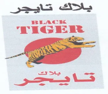 SECS ECE كايير trademark logo