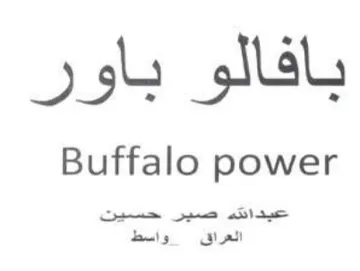 Buffalo power بافالو باور