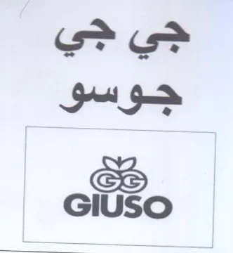 oto جي جي