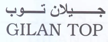GILAN TOP جيلان توب
