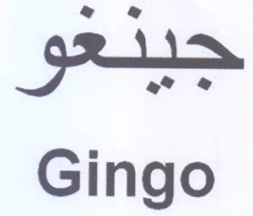 Gingo