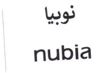 nubia
