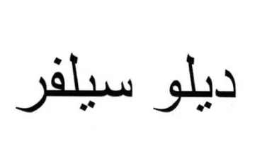 ديلو سيلفر trademark logo