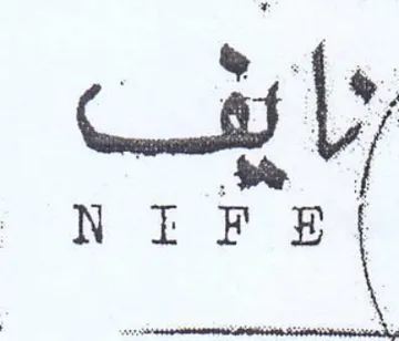 NIFS