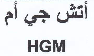 HGM أتش جي