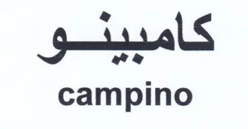campino اميسو