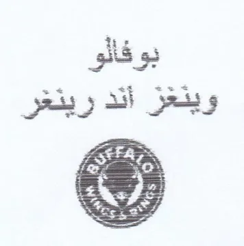 eK oe pss وينغز أند رينغر
