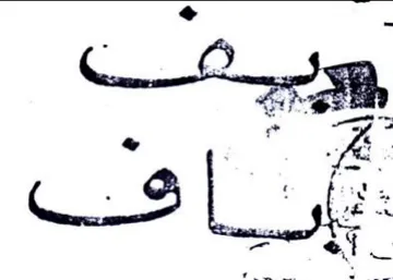 وبيب