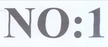 NO trademark logo