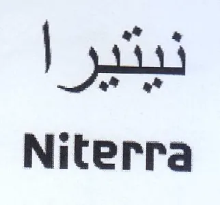 Niterra نيتيرا trademark logo