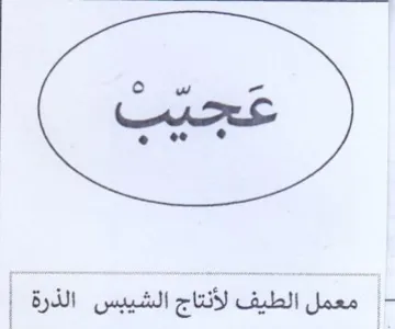 معمل الطيف لأنتاج الشيبس